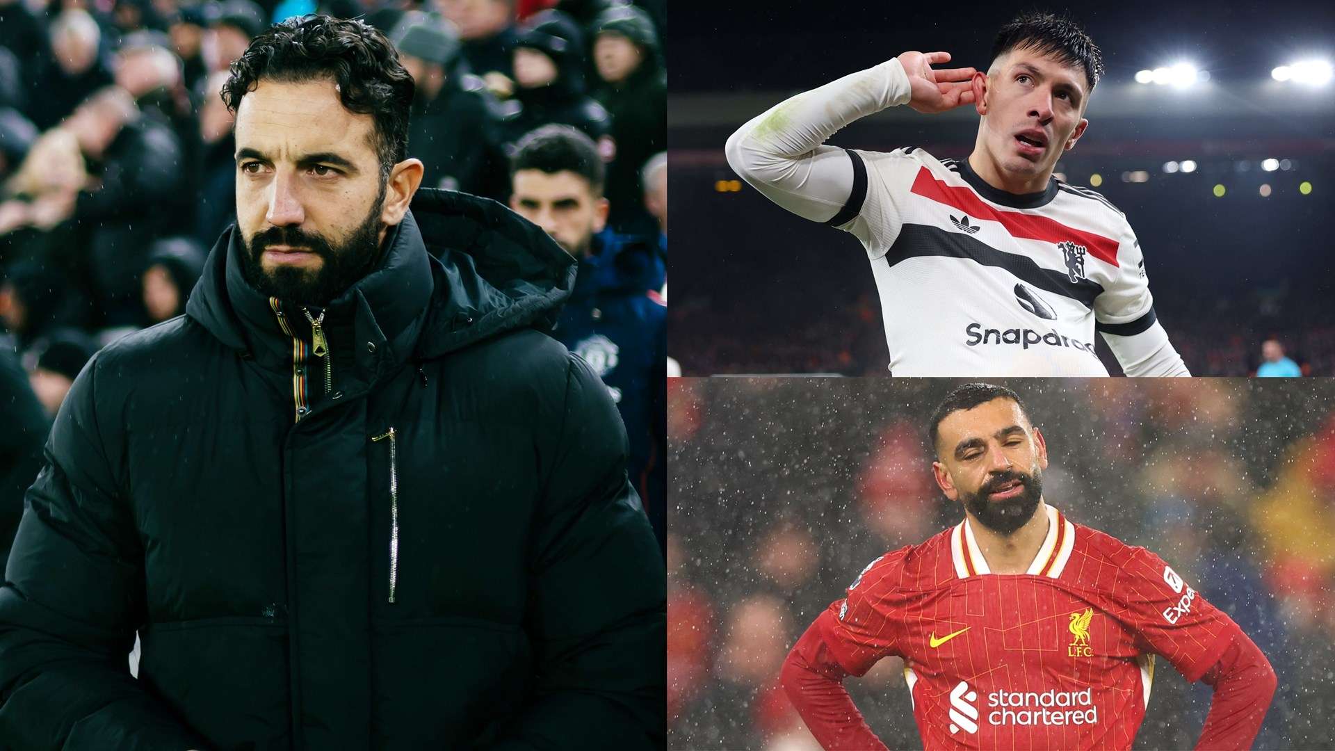 追溯小豌豆 追溯小豌豆