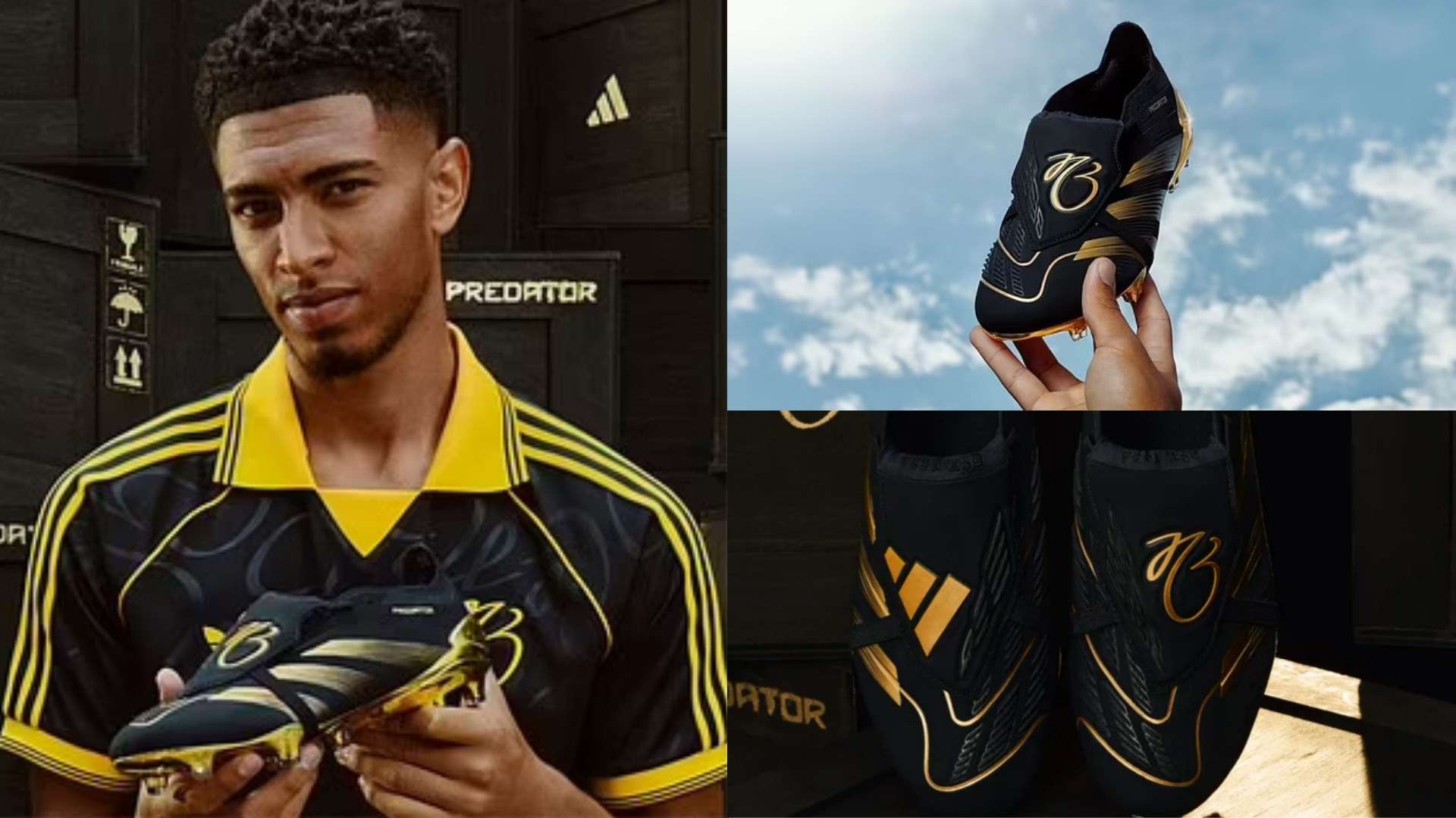 全运会羽毛 全运会羽毛